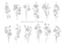 draw delicate fineline birth flowers